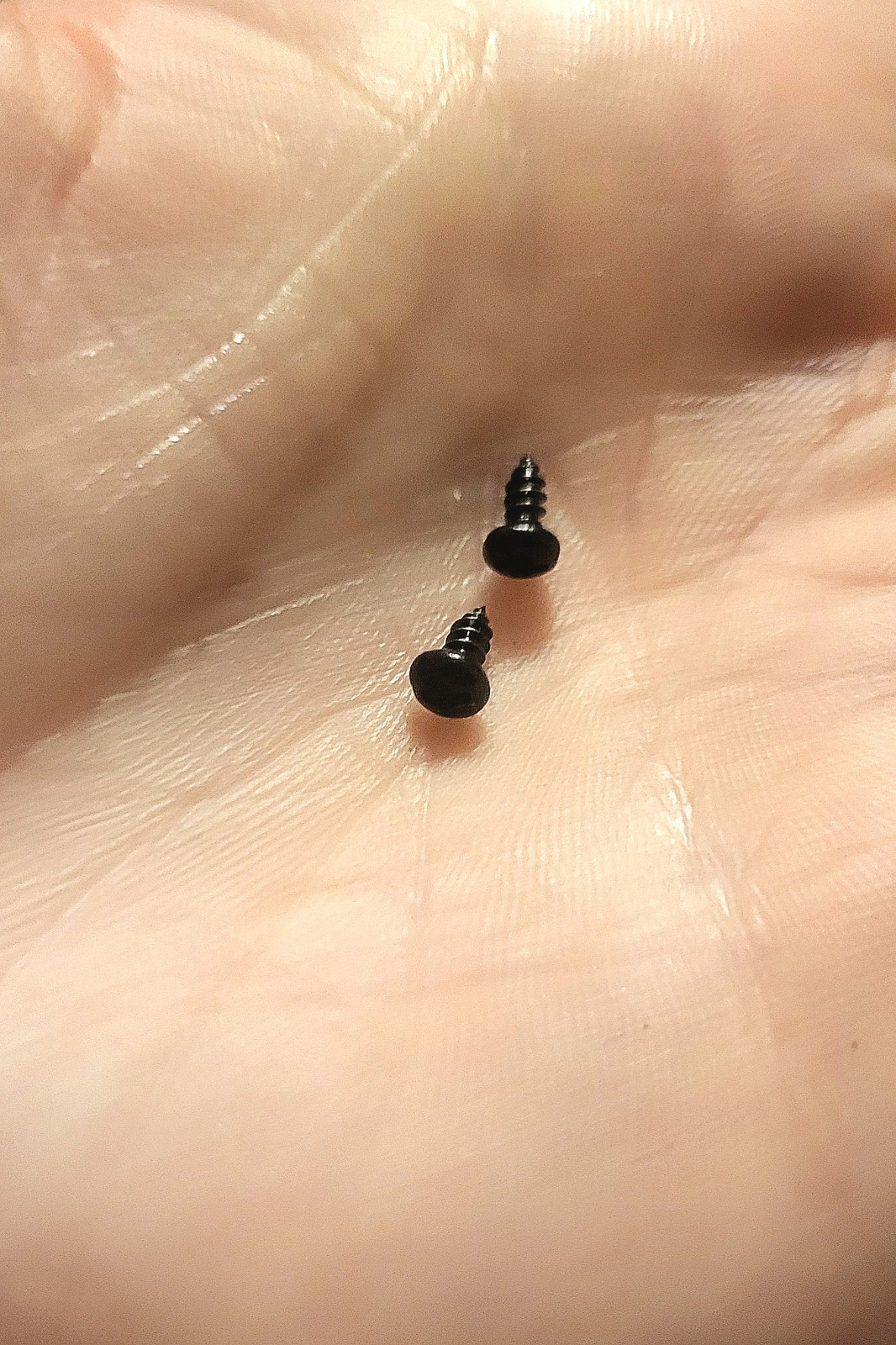 Black Schwinn Vintage Style Bicycle HEAD BADGE SCREWS - ONE PAIR - 