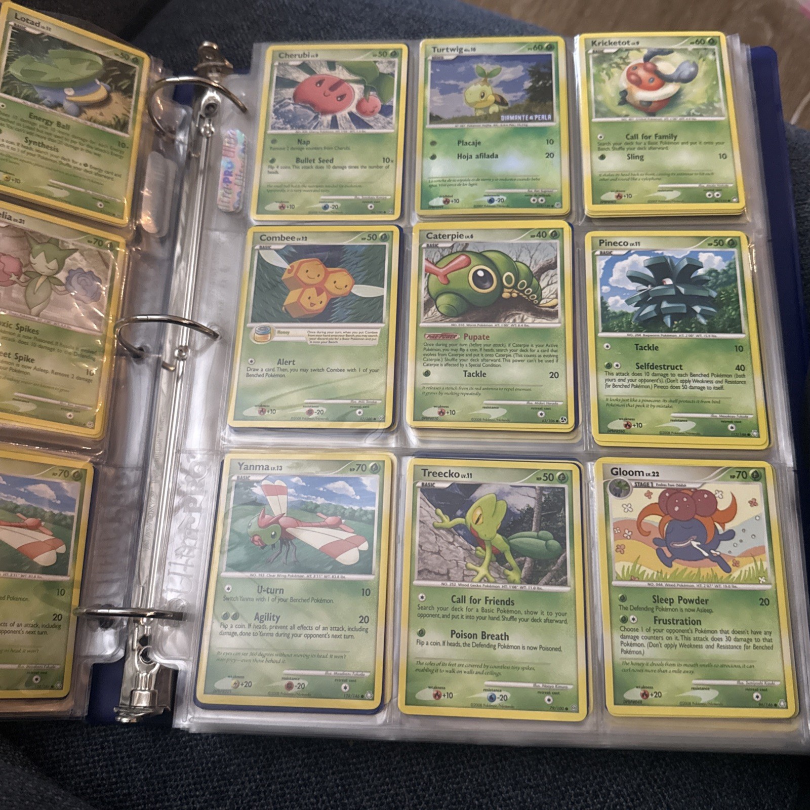 HUGE Pokémon Binder | 365 Cards + In Great Condition HUGE Pokémon Binder | 365 Cards + In Great Condition