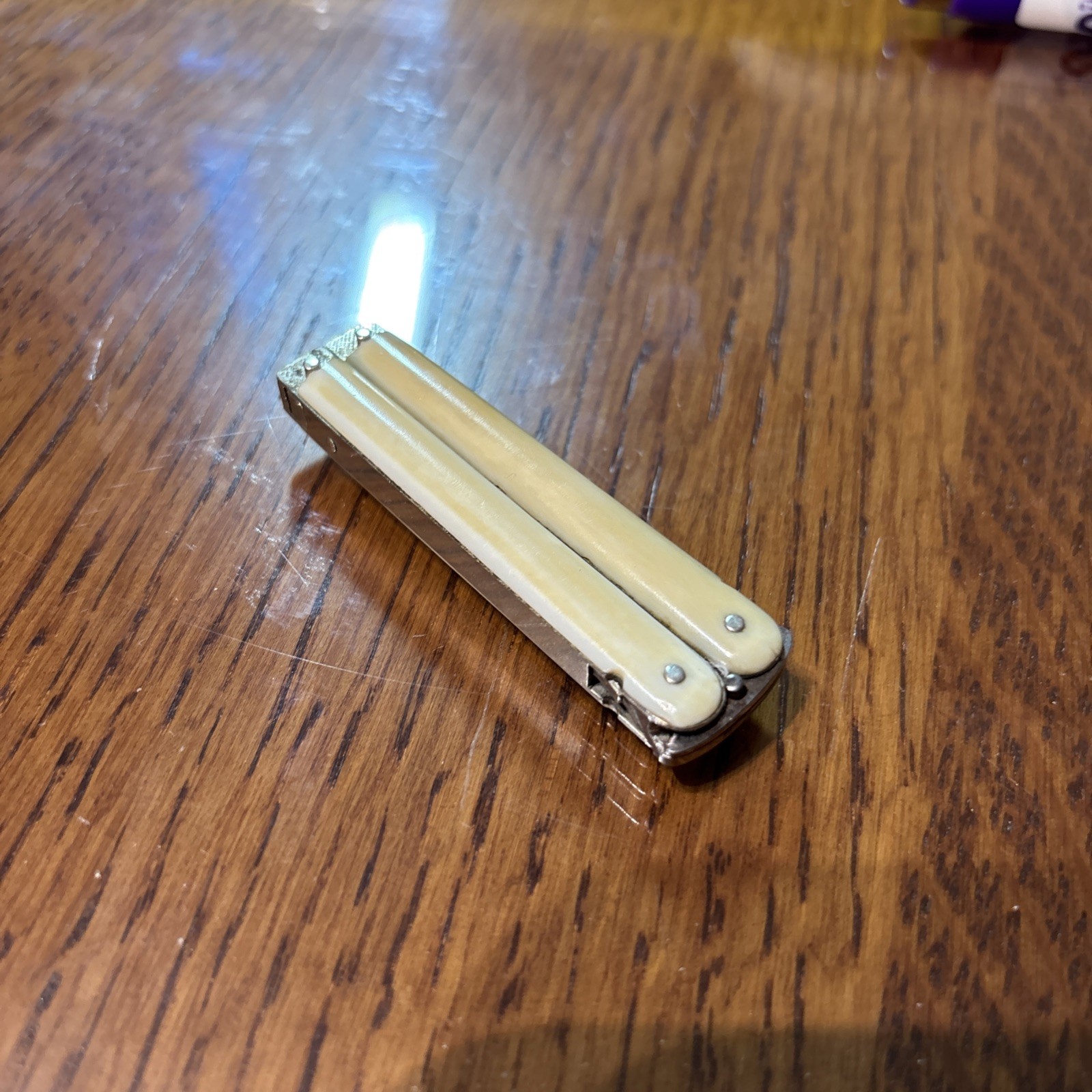 Rare Antique Folding Picket Travel Scissors With Bone Handle Marked Germany