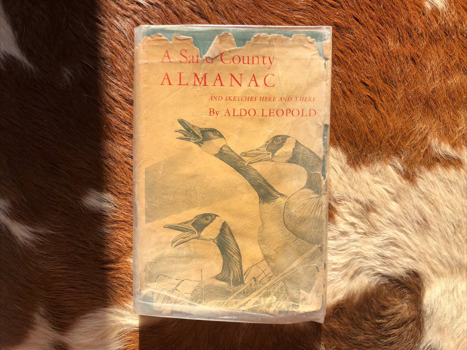 Aldo Leopold book * A SAND COUNTY ALMANAC * hardcover/dj SECOND PRINTING 1950 Aldo Leopold book * A SAND COUNTY ALMANAC * hardcover/dj SECOND PRINTING 1950