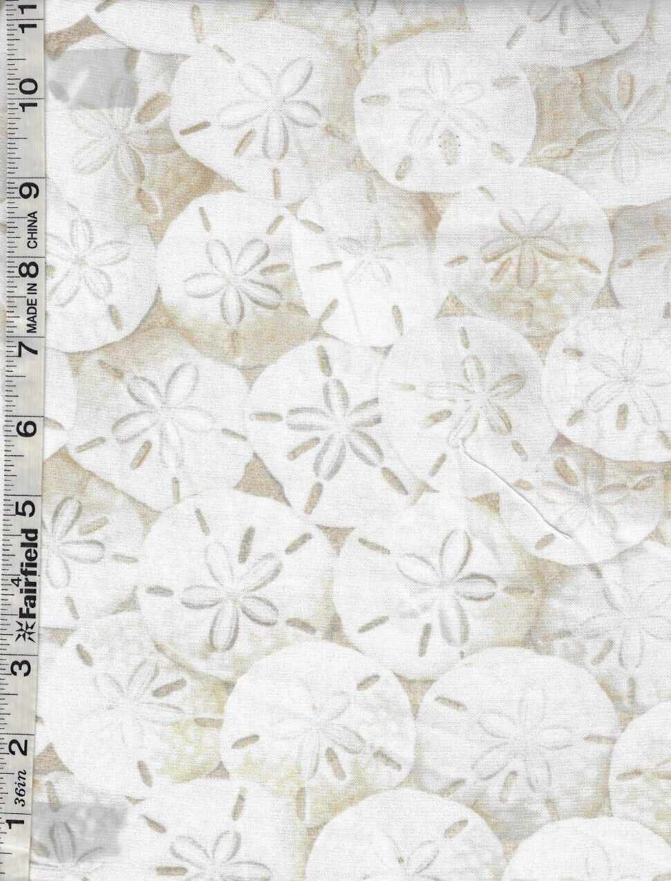 Beach Day Sand Dollars by Timeless Treasures bty Beach Day Sand Dollars by Timeless Treasures bty