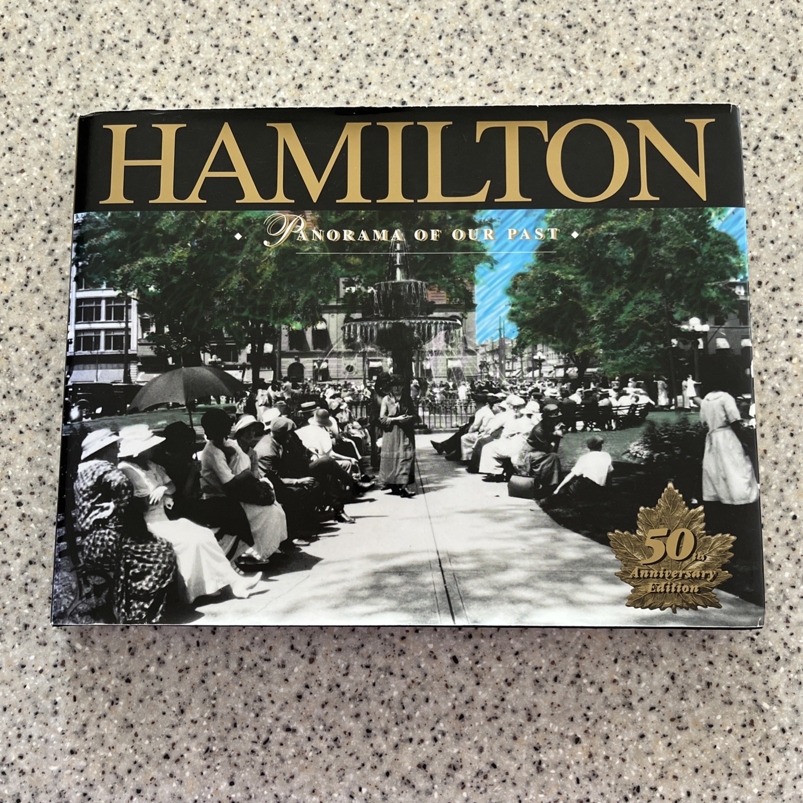 Hamilton - Panorama of Our Past - Ontario History HC 1994 - Very Good W/ DJ Hamilton - Panorama of Our Past - Ontario History HC 1994 - Very Good W/ DJ