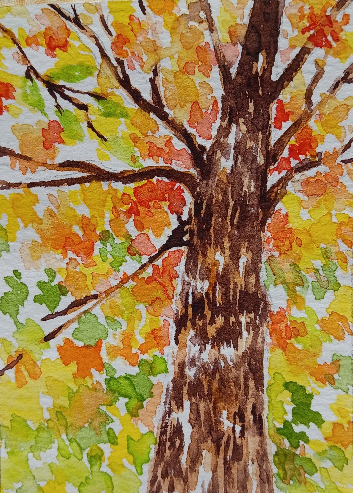 aceo original art Watercolor Painting Of Tall Autumn Tree aceo original art Watercolor Painting Of Tall Autumn Tree