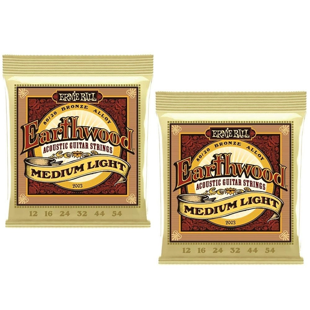 Ernie Ball Acoustic Guitar Strings Earthwood Medium Light 12-54 2003 2 Pack