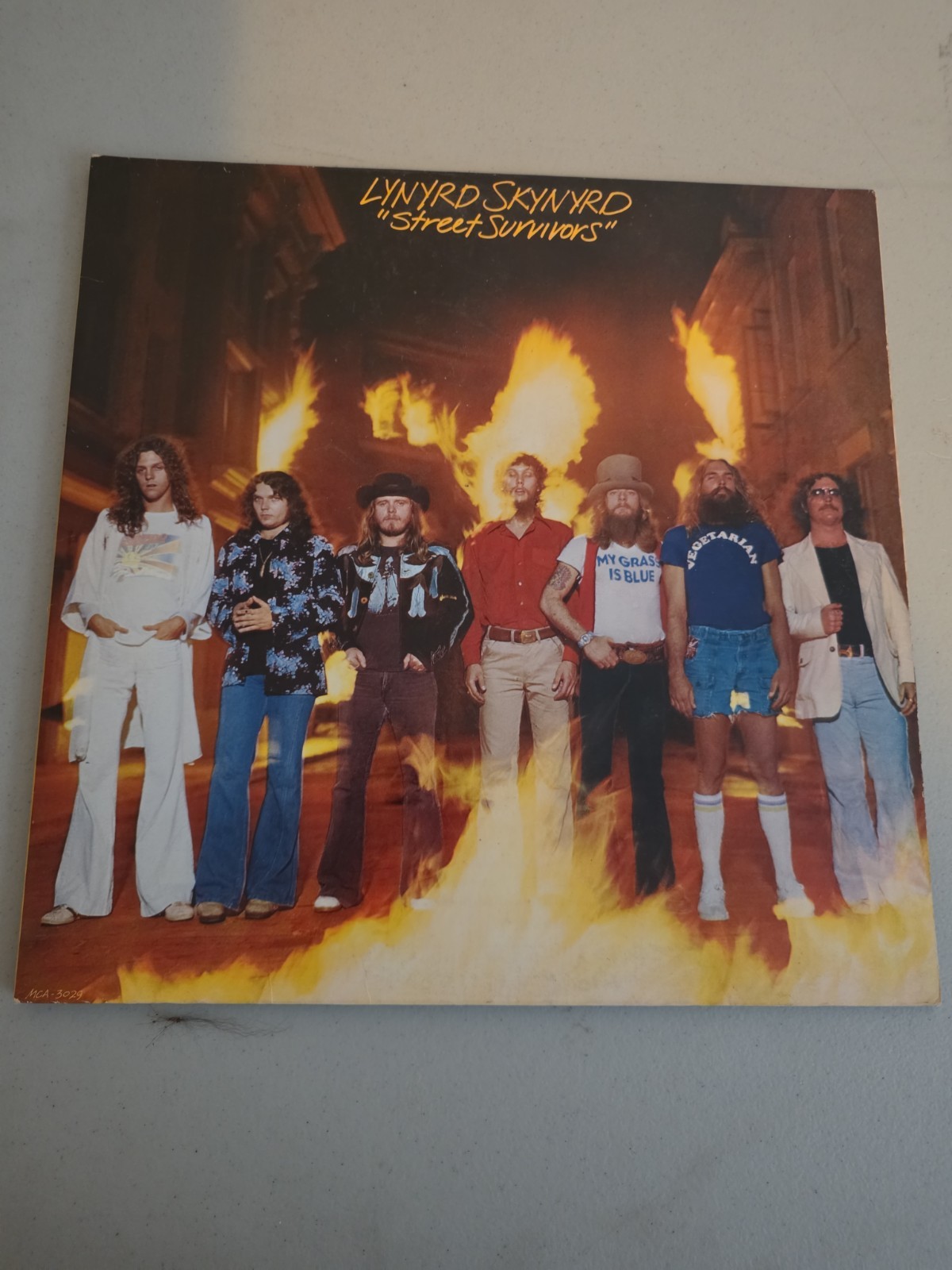 Lynyrd Skynyrd Street Survivors FLAMES LP Vinyl 1977