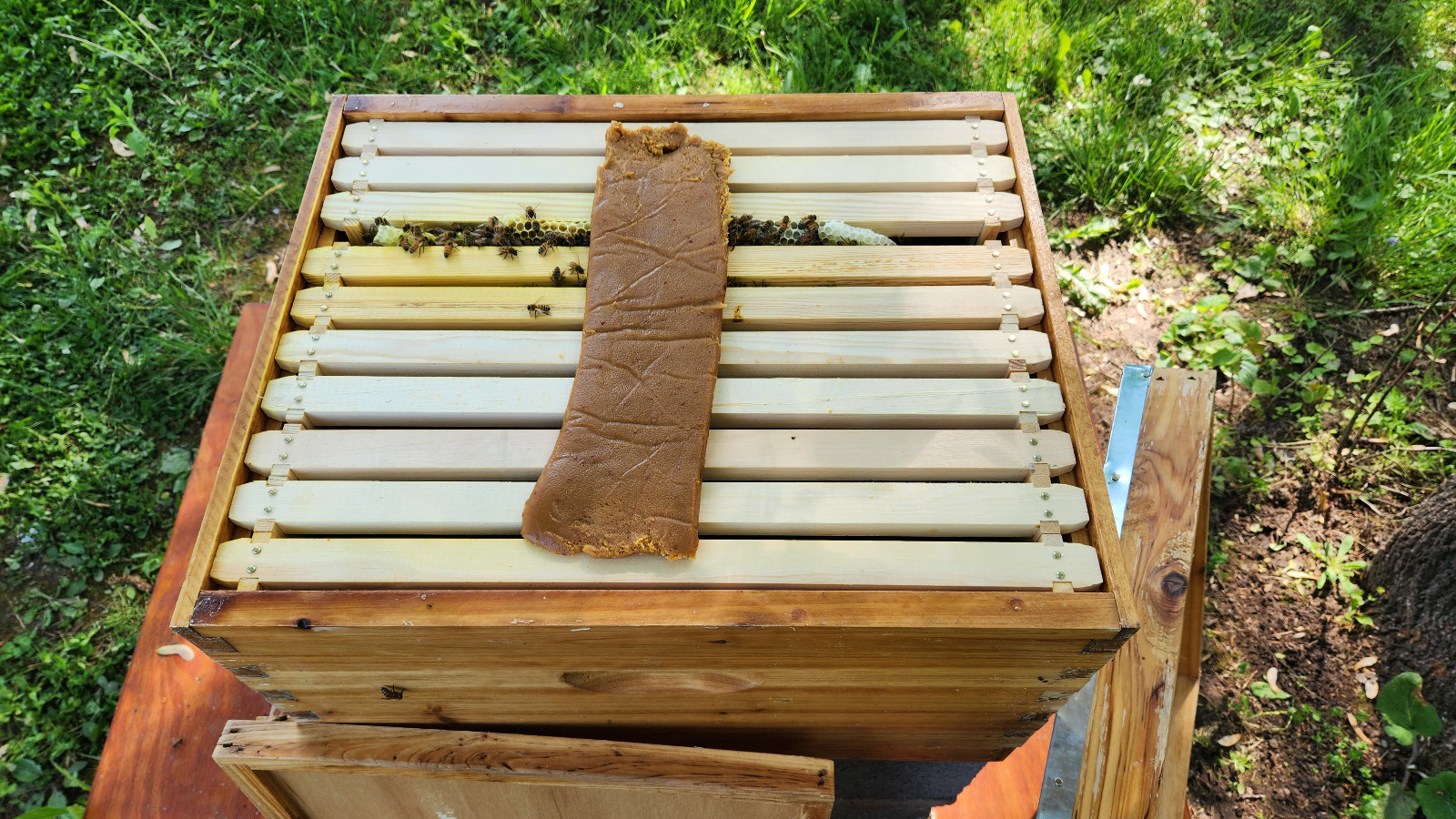 2 LB Pollen Ultra Bee Patties 15 % Crude Protein FOR  BEES   NO INTERNATIONAL