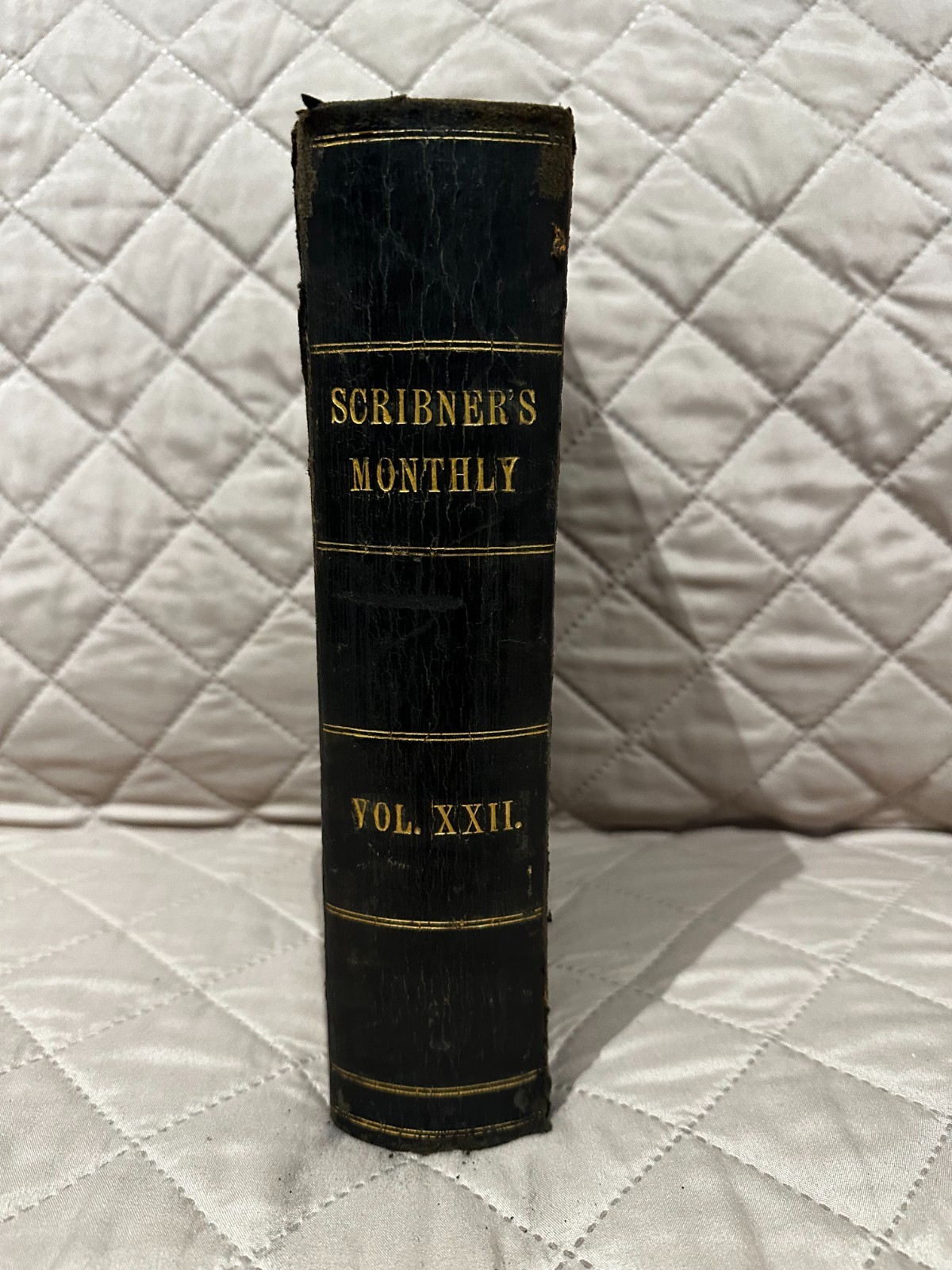 Scribner's Monthly Vol. XXII