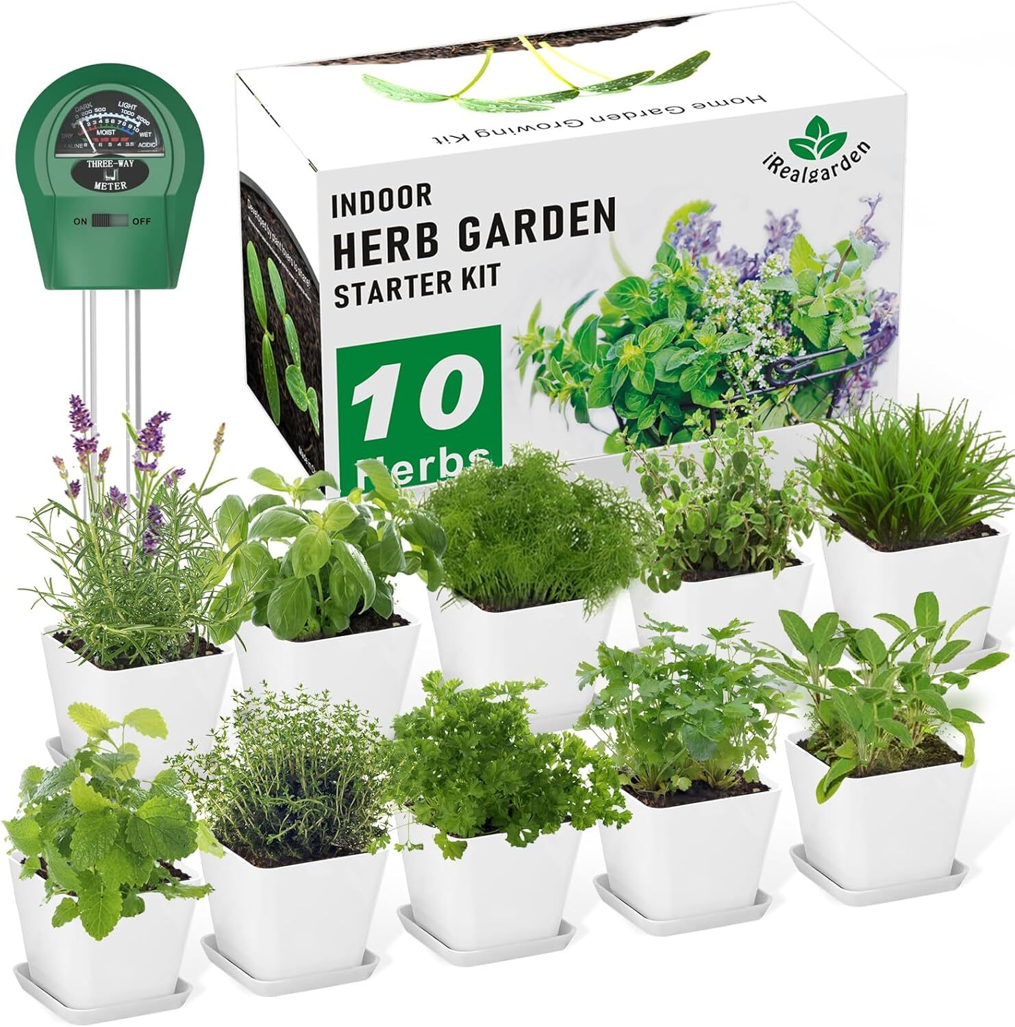 Herb Garden Kit Indoor Herb Garden Starter Kit -10 Variety Herbs Kitchen Window