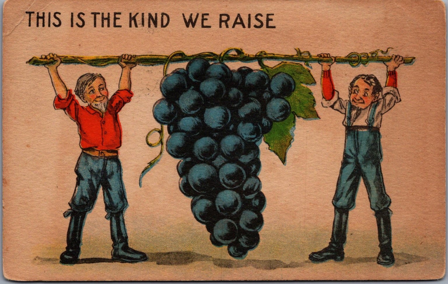 Vintage 1913 Postcard \