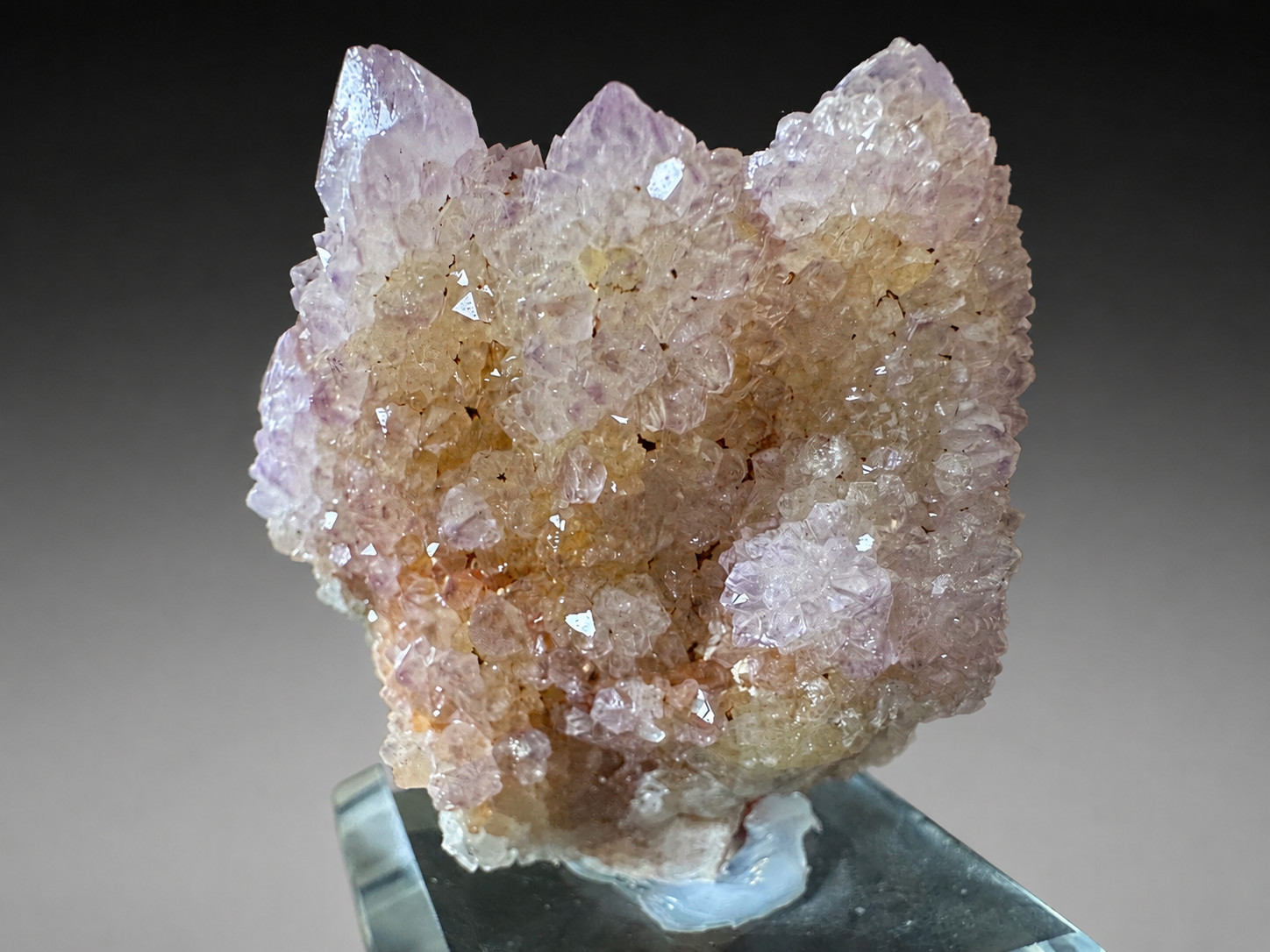 Cactus Amethyst Spirit Quartz Crystal Magaliesberg South Africa 103g
