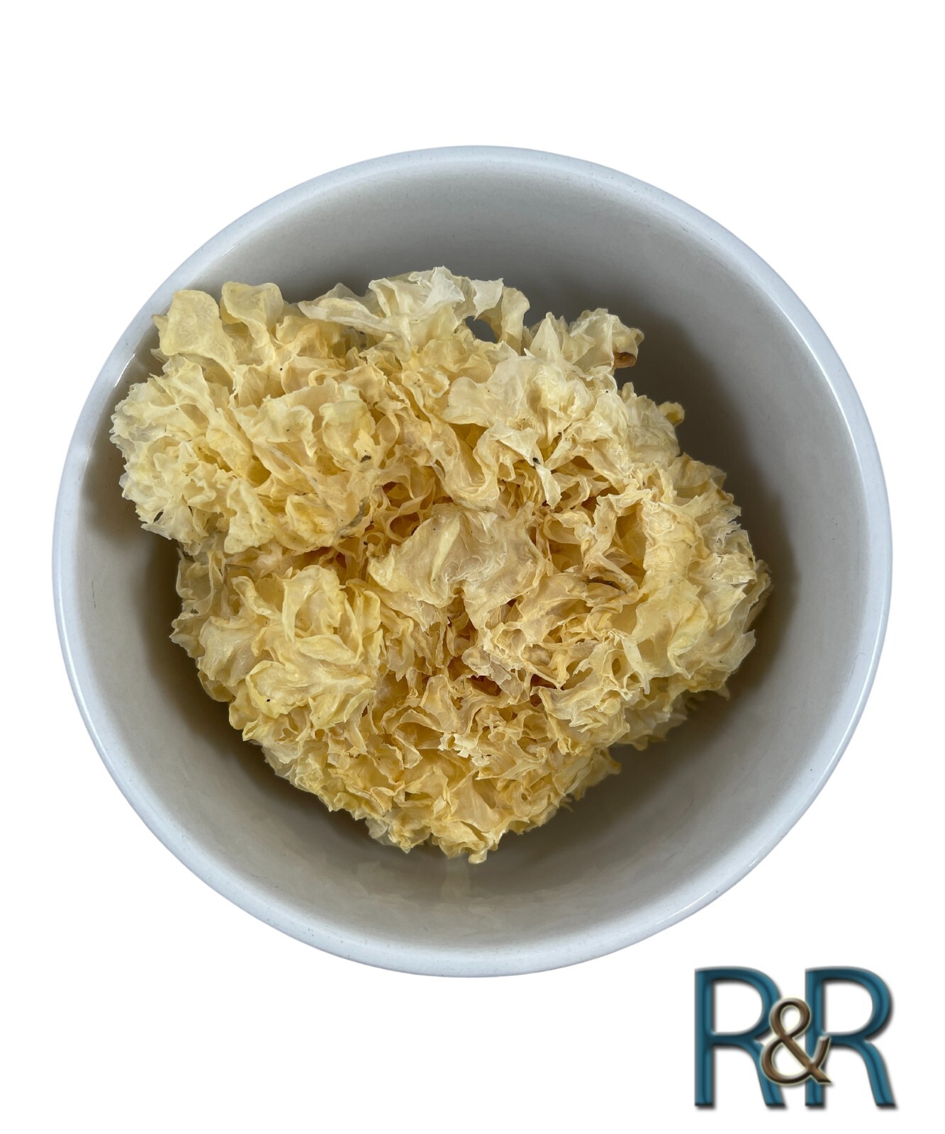 Tremella WHOLE Mushroom Chinese Rare Fungi USA
