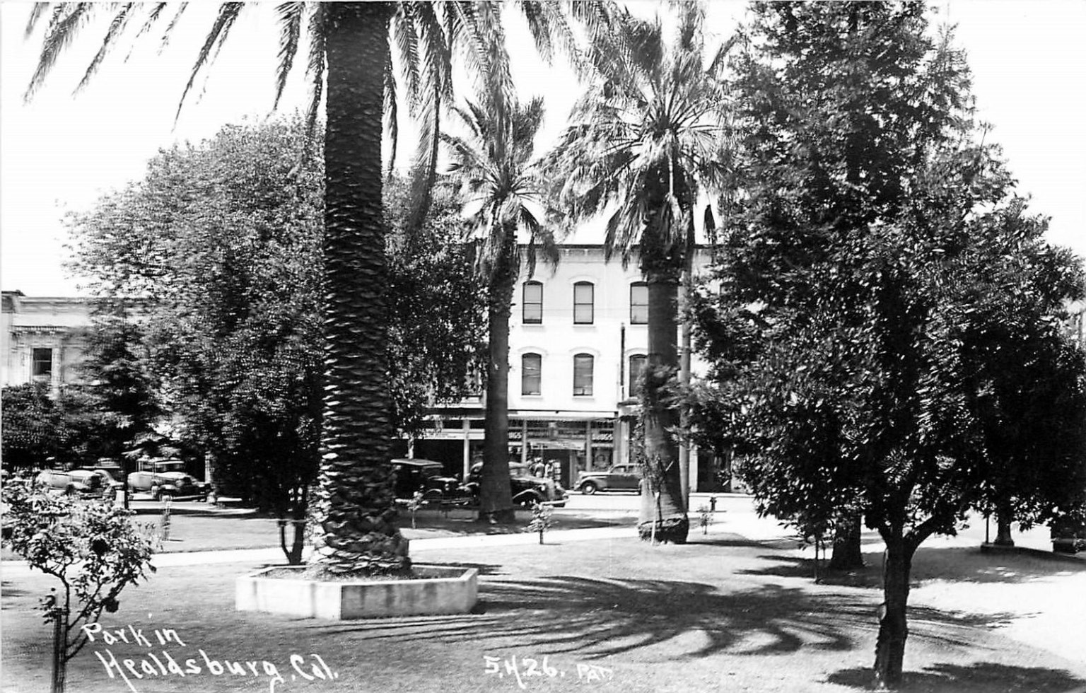 RPPC Park in Healdsburg CA c1926 Kodak Real Photo Postcard Palm Trees Cars