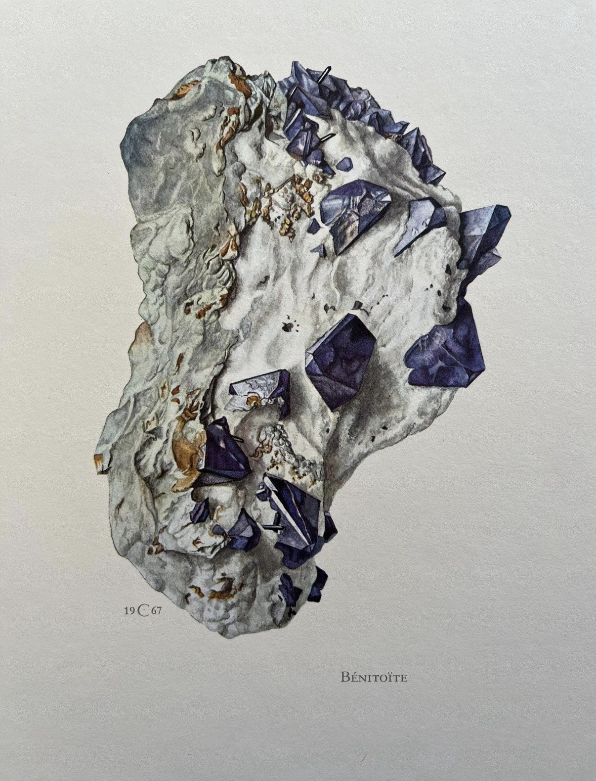 Benitoite Neptunite Vintage Mineral Print from 1967
