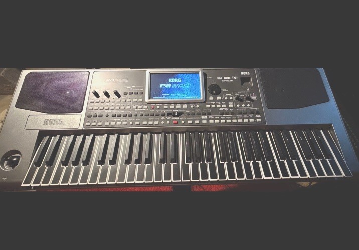 Korg Pa900 61-Key Full Size Electronic Keyboard, Built-In Speaker, Black Korg Pa900 61-Key Full Size Electronic Keyboard, Built-In Speaker, Black