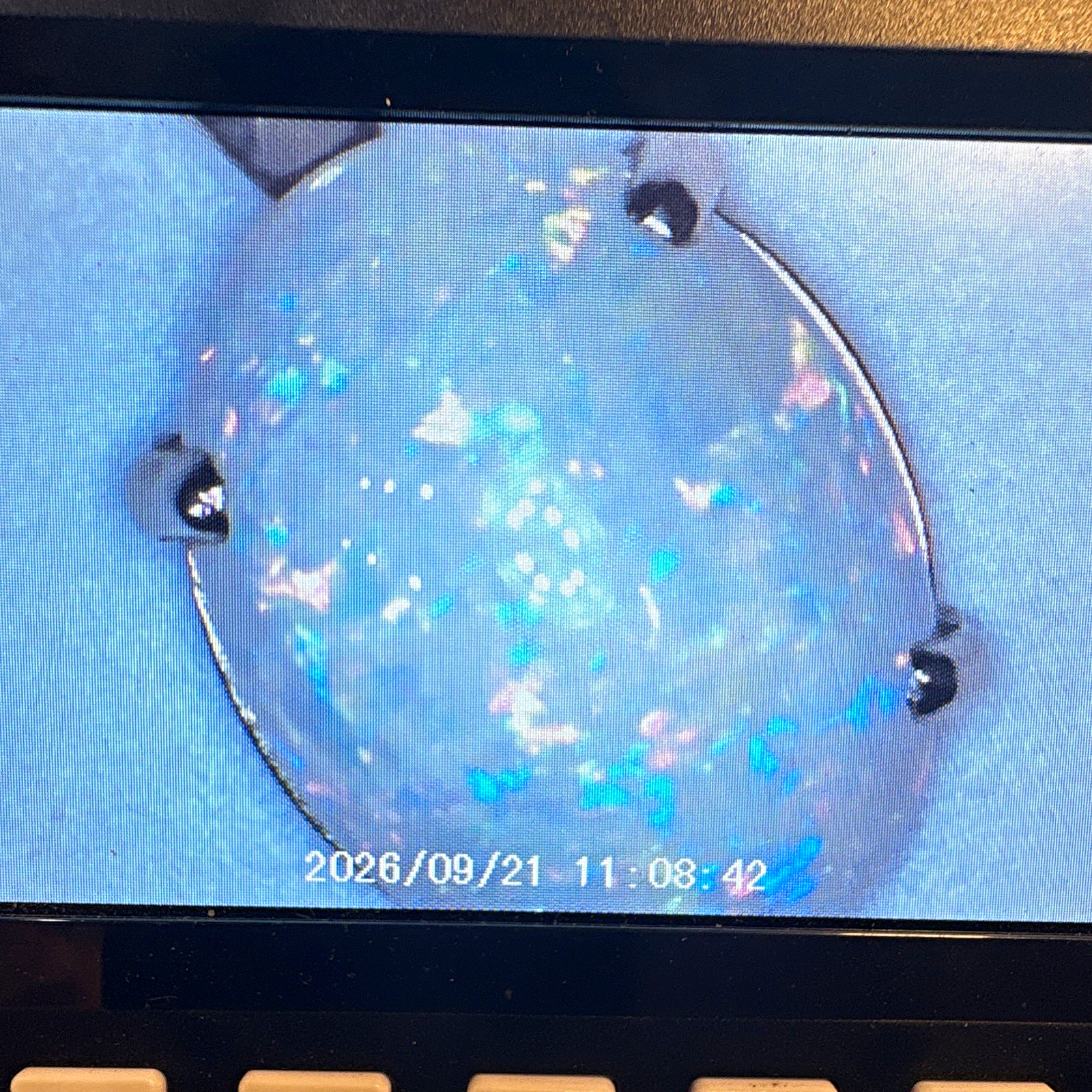 Vtg 14K White Gold Crystal Opal Solitaire Charm Pendant Natural Pinfire Flash