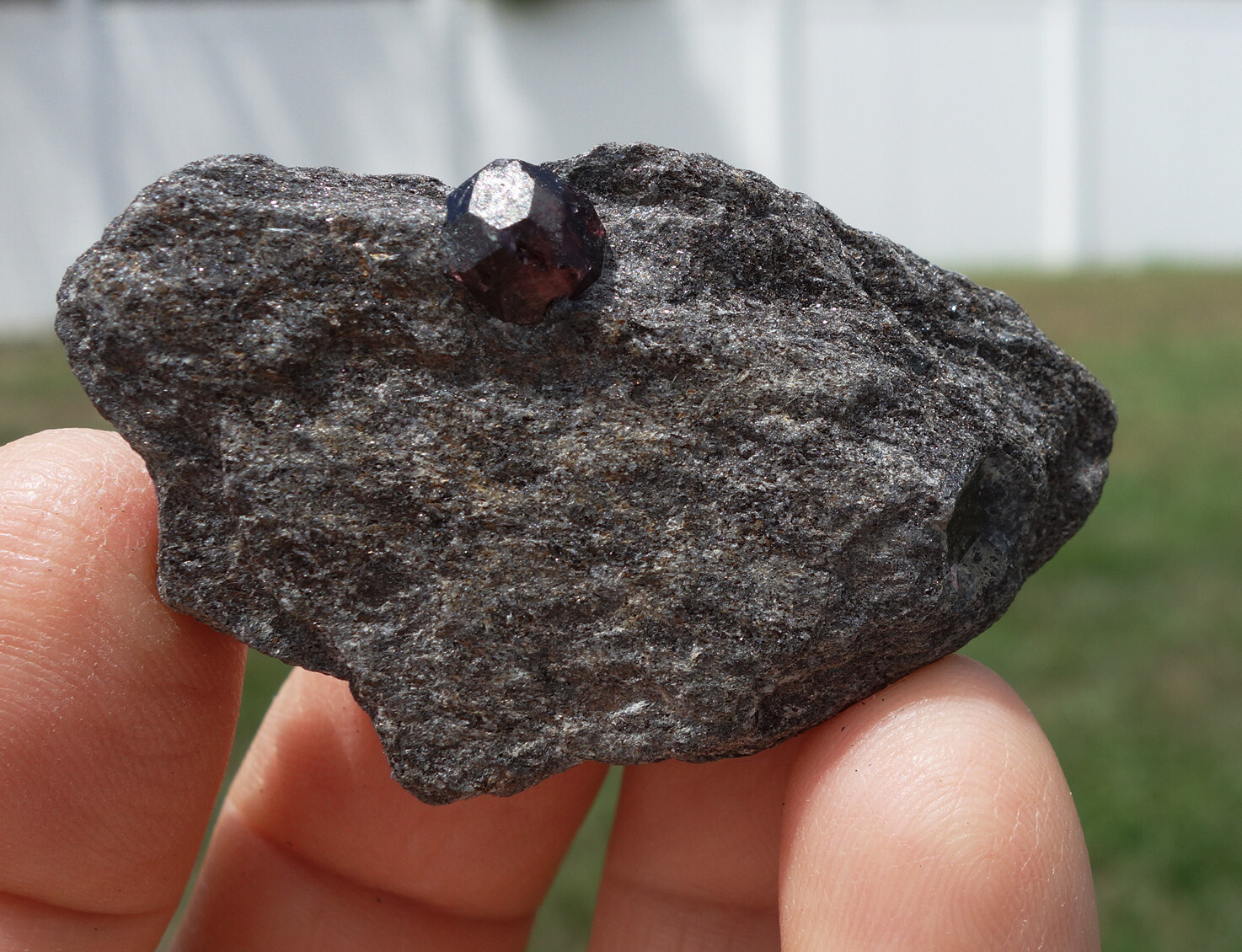 Red Almandine GARNET Crystal in Matrix from Wrangell Island Alaska For Sale 6201