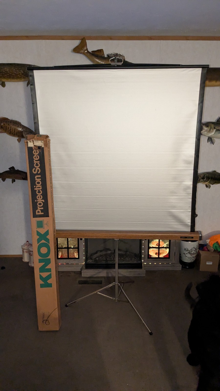 Vtg PROJECTION SCREEN 50 X 50 MODEL KNOX PARADE Excellent Condition Used Twice Vtg PROJECTION SCREEN 50 X 50 MODEL KNOX PARADE Excellent Condition Used Twice