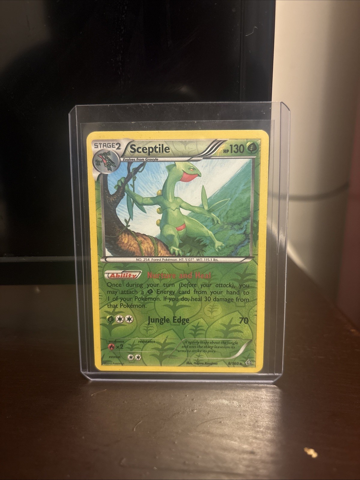 Sceptile 8/160 2015 XY - Primal Clash Reverse Holo Rare NM - M Sceptile 8/160 2015 XY - Primal Clash Reverse Holo Rare NM - M