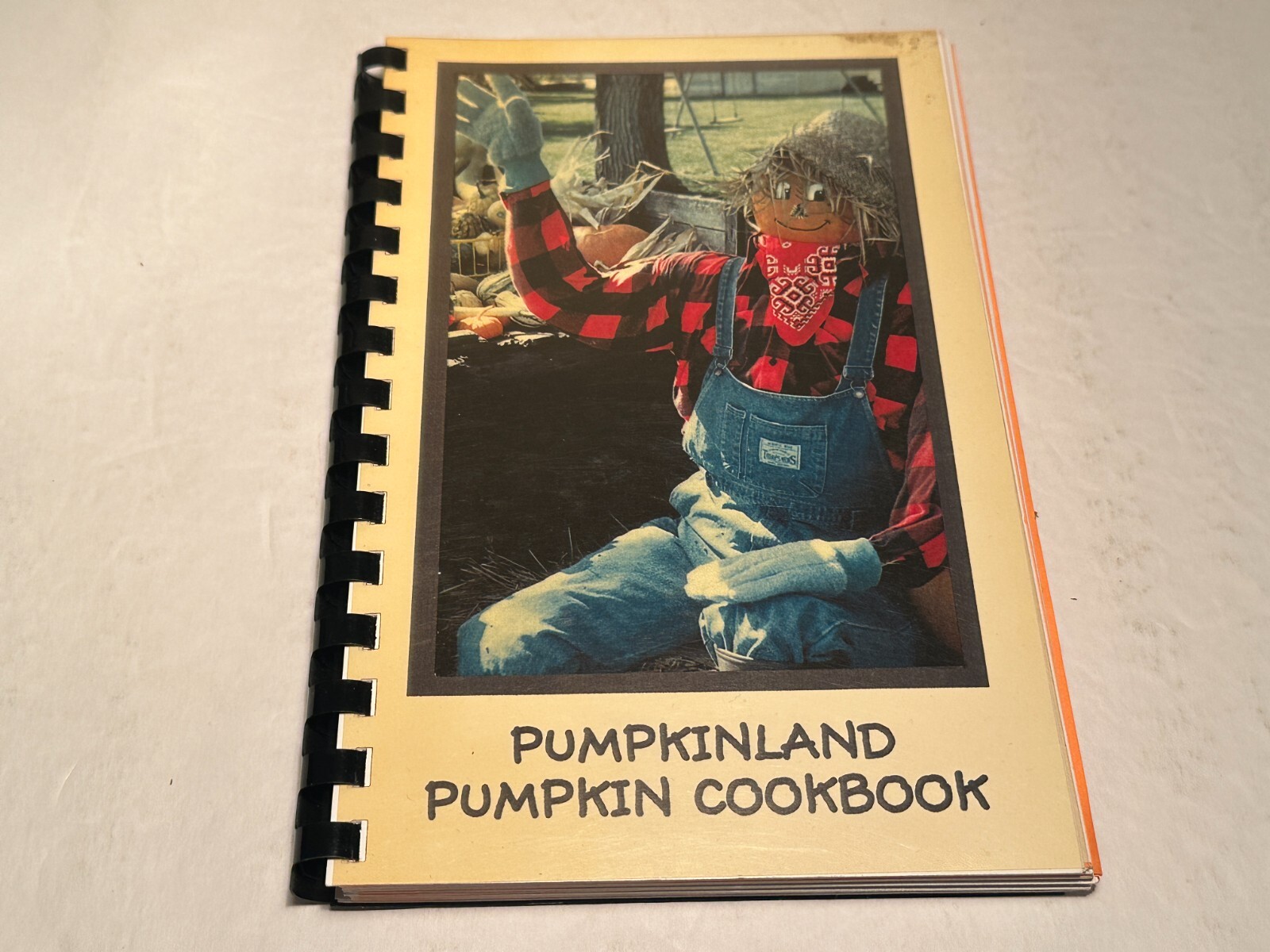 PUMPKINLAND vintage Pumpkin COOKBOOK 1997 Spiral Bound 1st edition Iowa rare