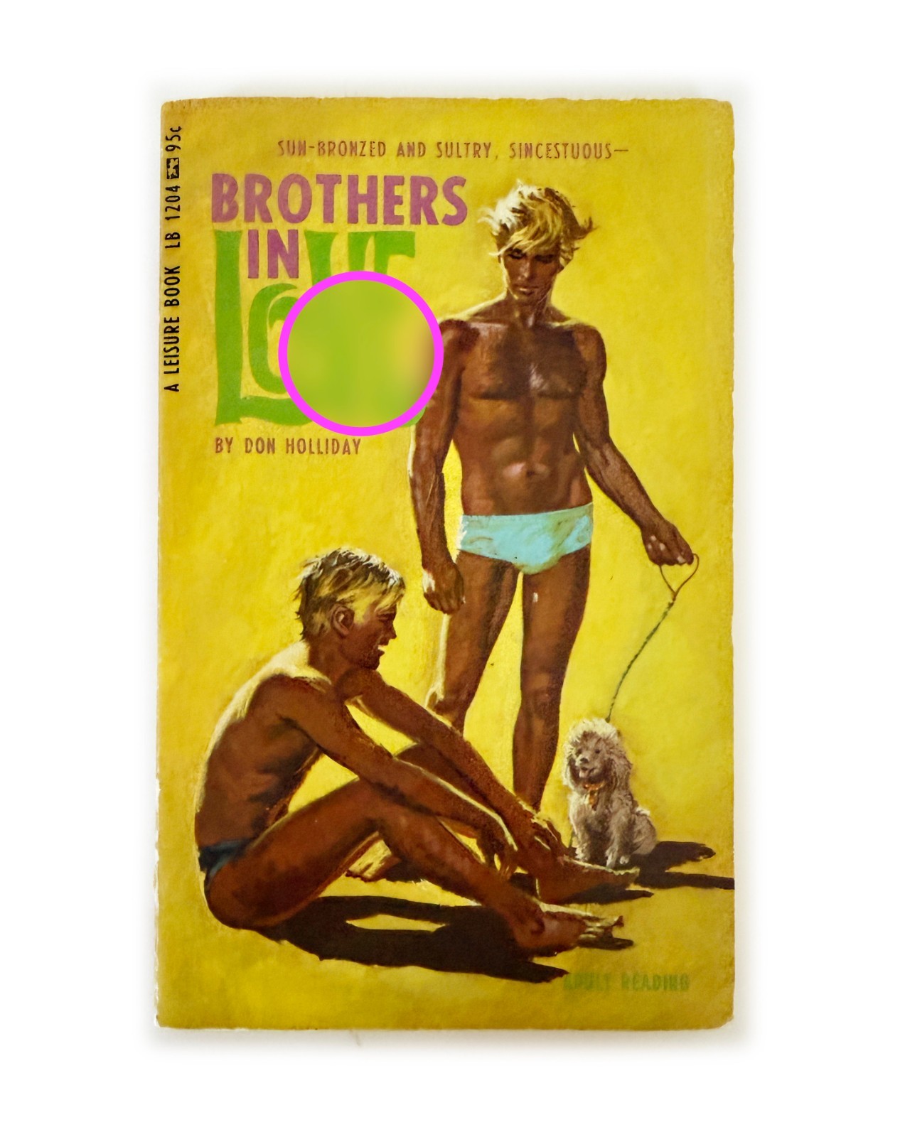 Vintage Novel Gay Pulp - BROTHERS... 1967 Don Holliday