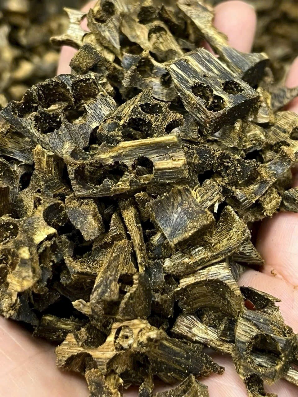 50G - Rare Wild Kynam Agarwood Chips – Premium Incense for Meditation & Healing