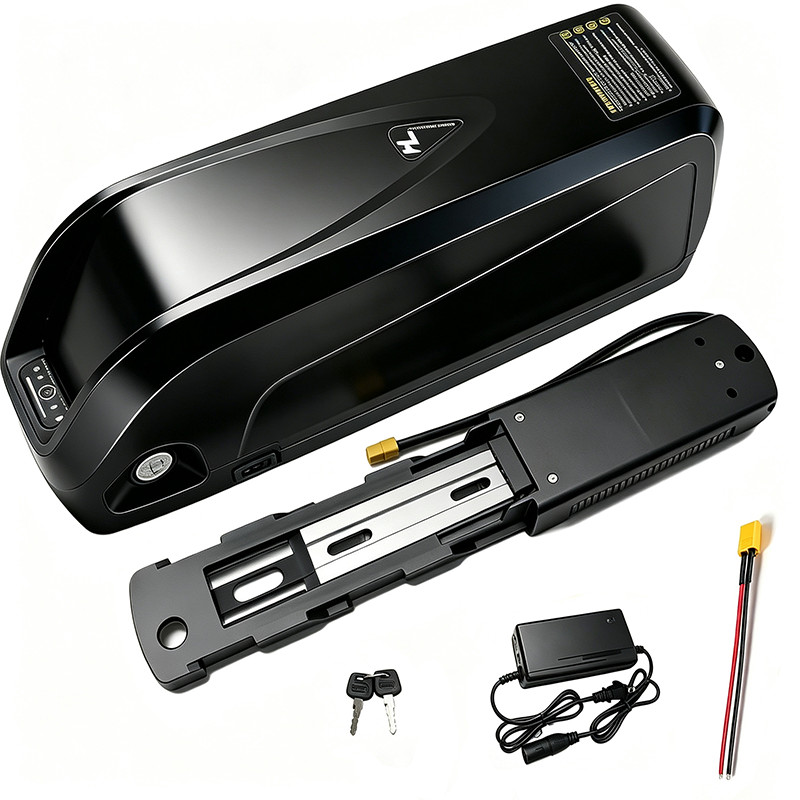 48 Volt 15Ah 20Ah 25Ah Battery 48V 0-1500W Lithium Batteries with 30A BMS+++