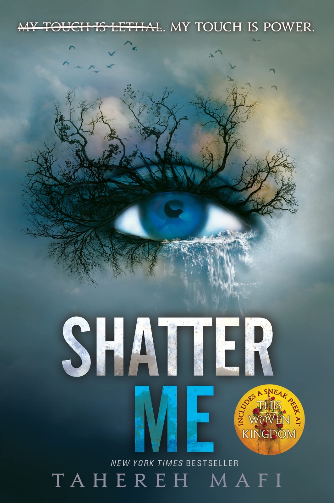 Shatter Me: A Journey of Strength and Rebellion Against a Dictatorship (Shat...