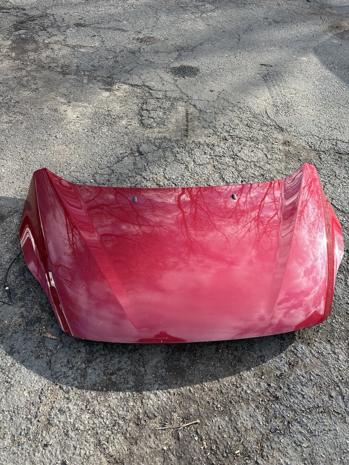 2013-2017 Ford C-Max Front  Hood