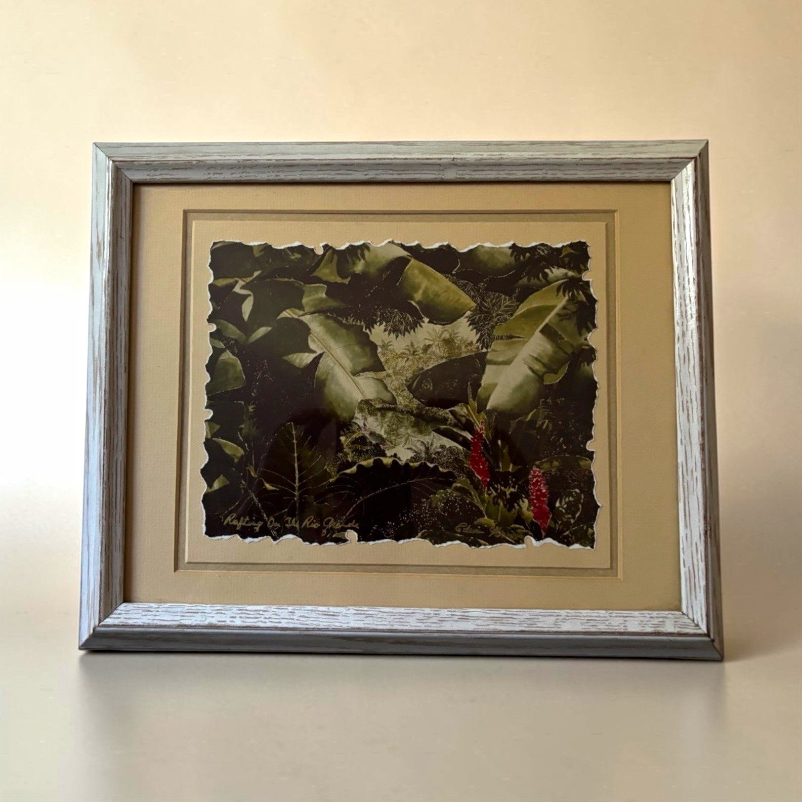 Vintage Edwin Morris Framed Print Rafting On The Rio Grande Tropical 16x13