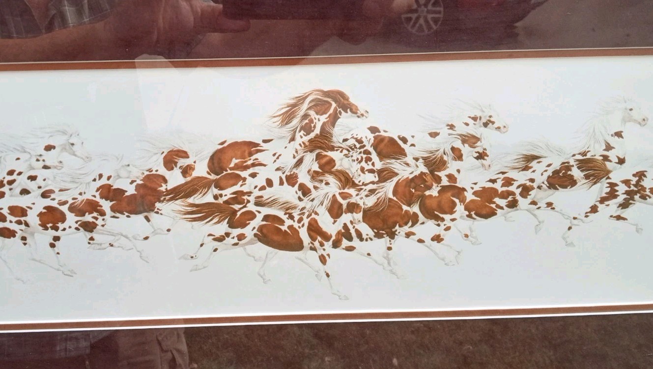 Bev Doolittle When the Wind Had Wings Signed LE  Greenwich Workshop ++ Frame pro