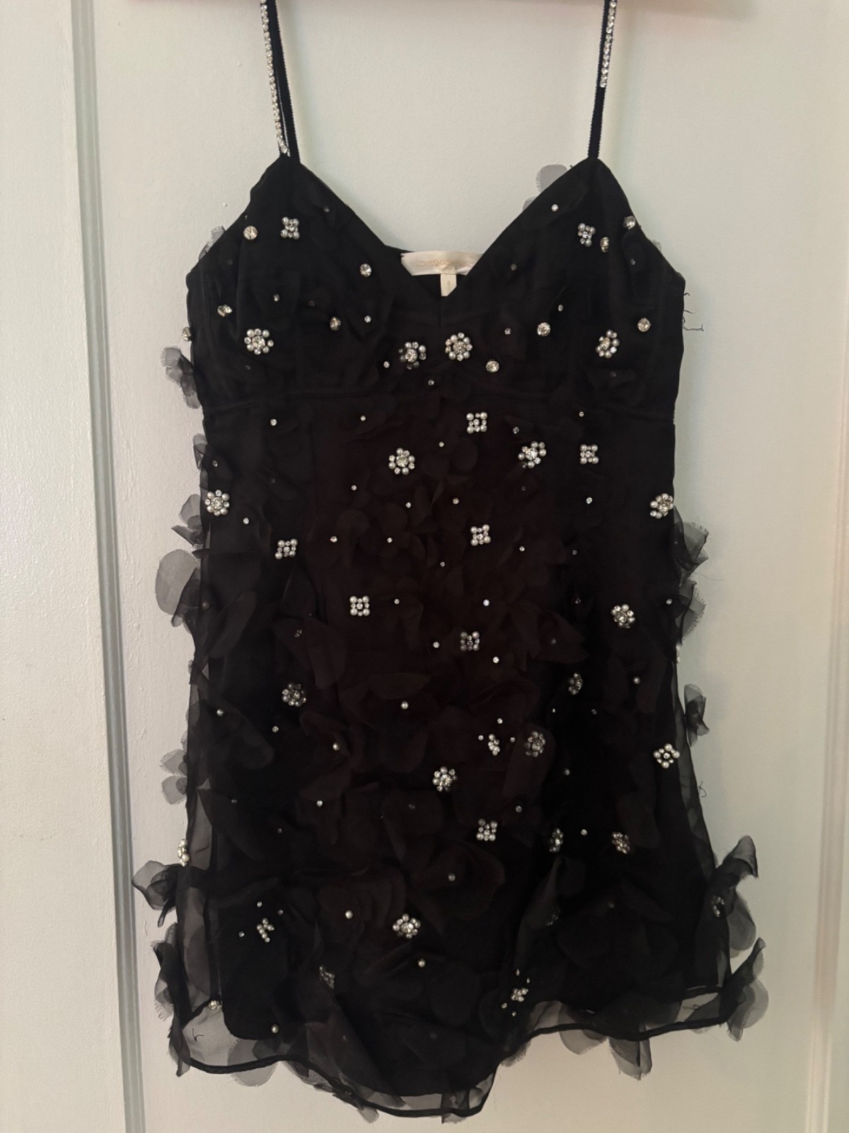 Ambessa Embellished Organza Mini Dress LoveShack Fancy