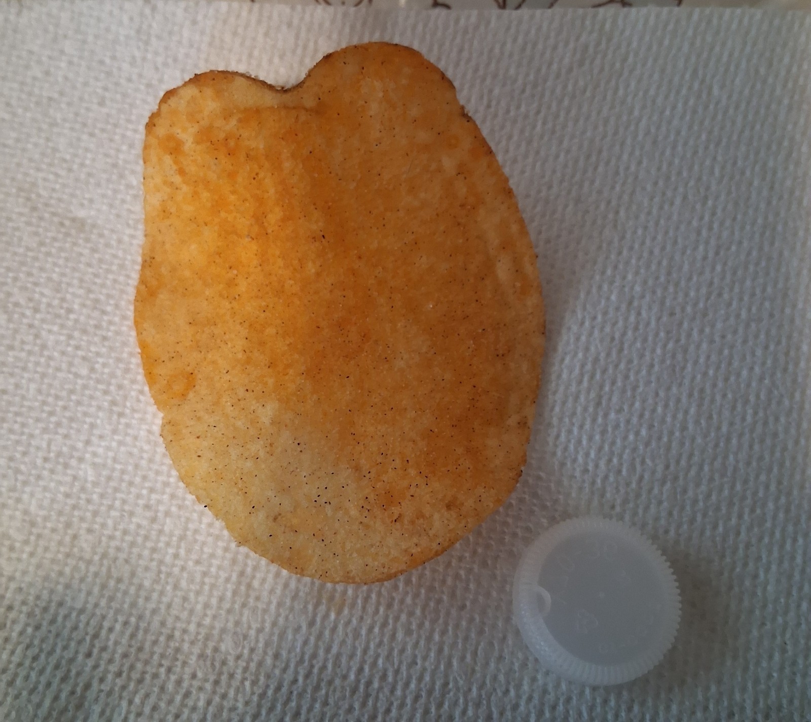 XXL BBQ potato chip Worlds Largest BBQ Chip found Heart Shaped Collectors Item