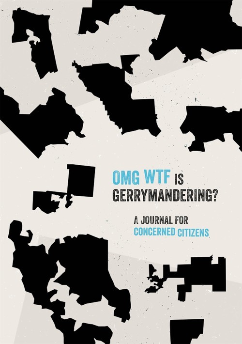 OMG WTF is Gerrymandering?: A Journal f..., Ben Sheehan