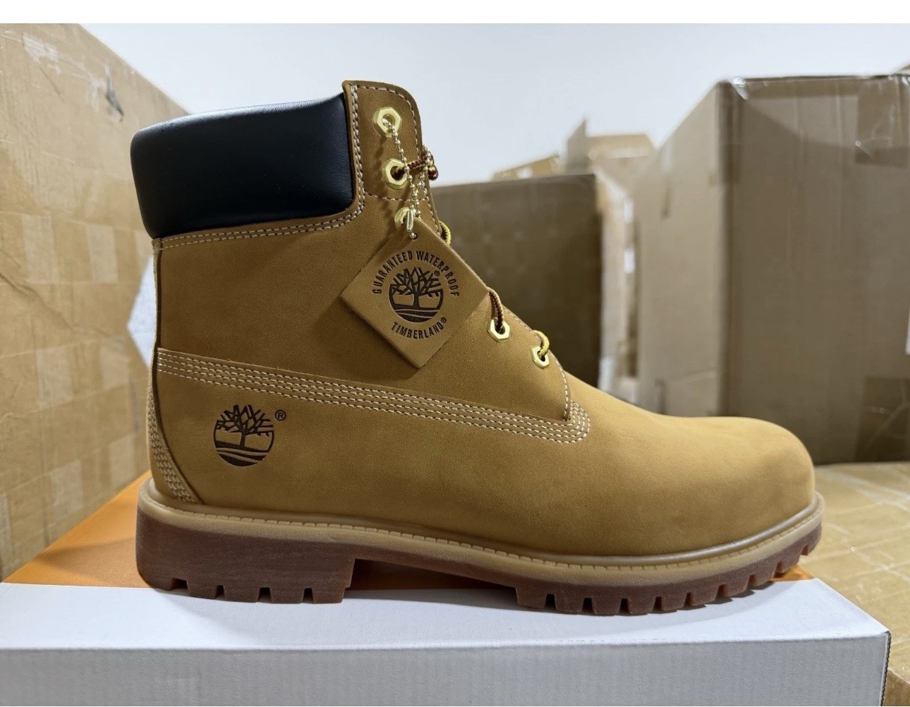 Timberland size 11 us
