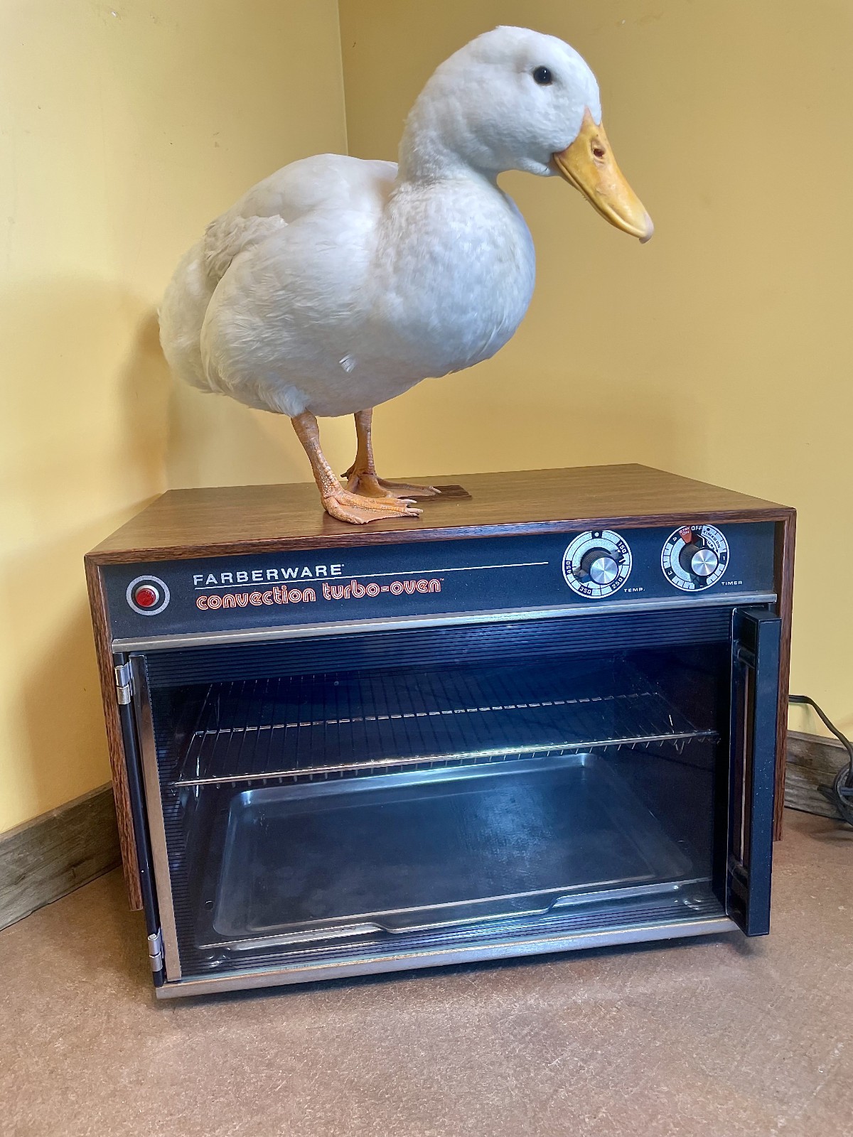 VTG 1970's Farberware Convection Turbo Oven 460/5 w/ Rack & Pan Tested