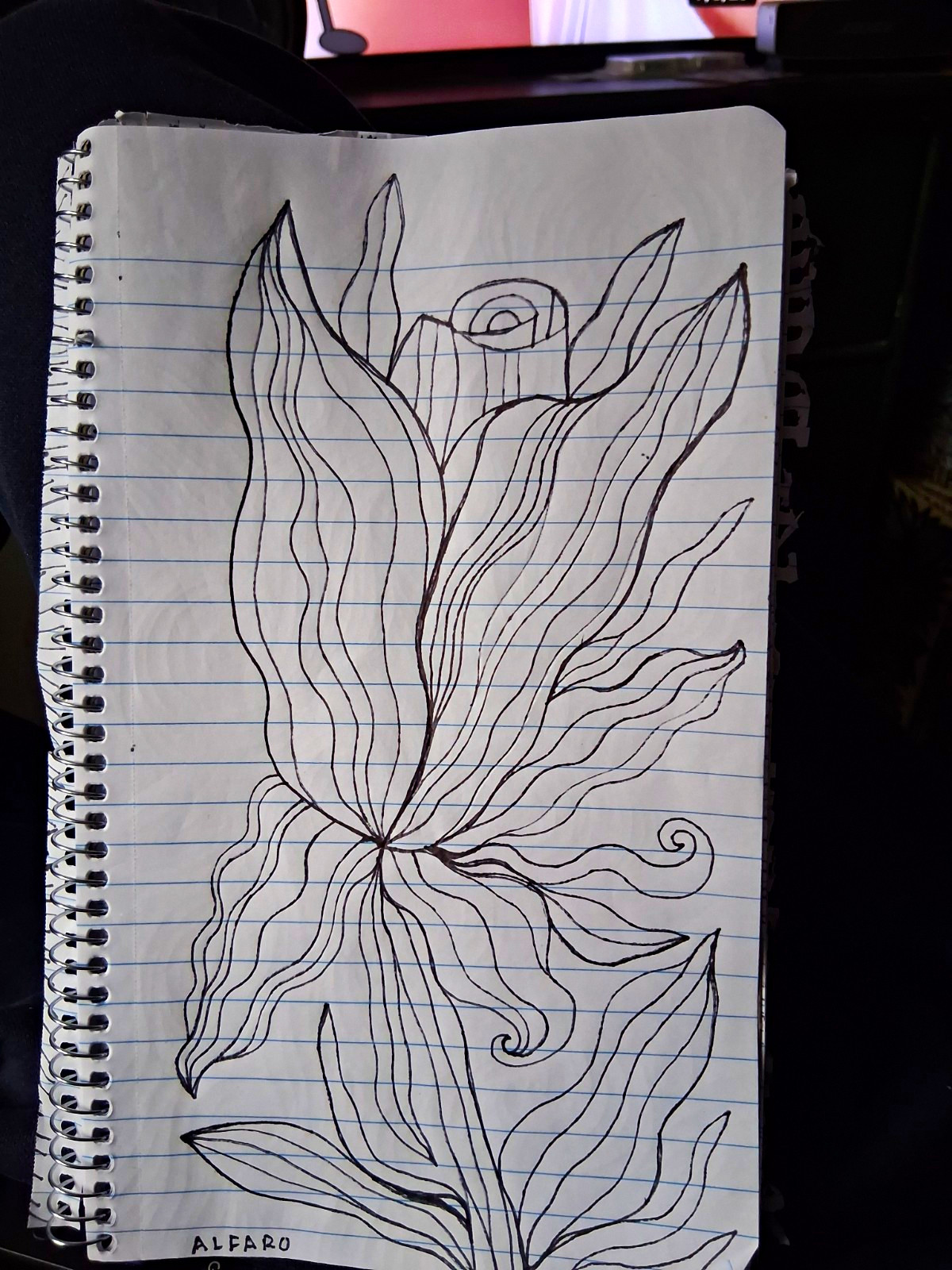 Hand-Drawn Floral Sketch on White & Black Lined Paper Decorative Art