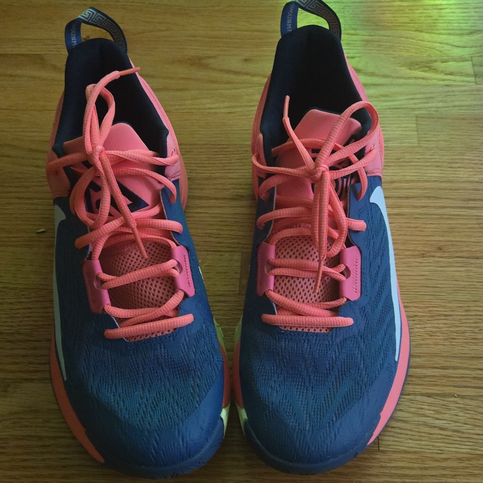 Nike Giannis Immortality Men’s Low Top Lace-Up Athletic Sneakers Blue Pink