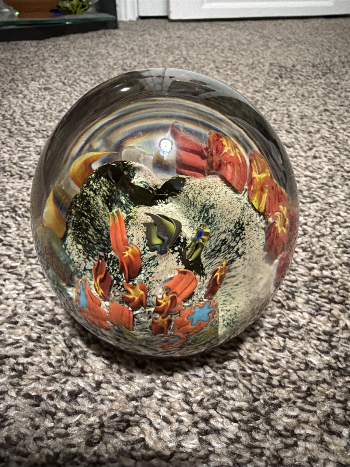 Art Glass Aquarium Signed Paperweight Fish Coral Murano Style Hand Blown Large