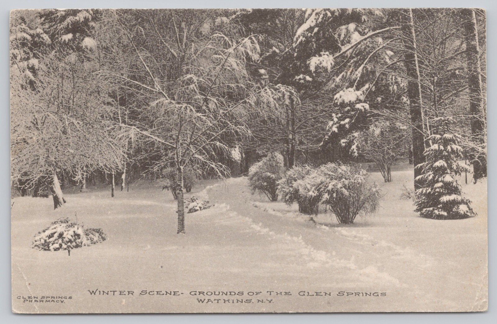 Winter Scene, Glen Springs Hotel Grounds, Watkins Glen NY New York Postcard 1911