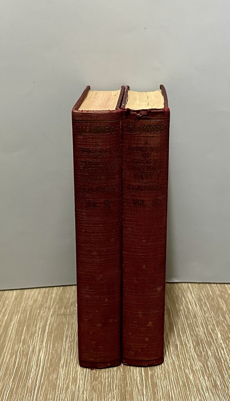 2 Book Lot: Salammbo by Gustave Flaubert 1904 VOL 3 & 4 / Antique / Decor 2 Book Lot: Salammbo by Gustave Flaubert 1904 VOL 3 & 4 / Antique / Decor