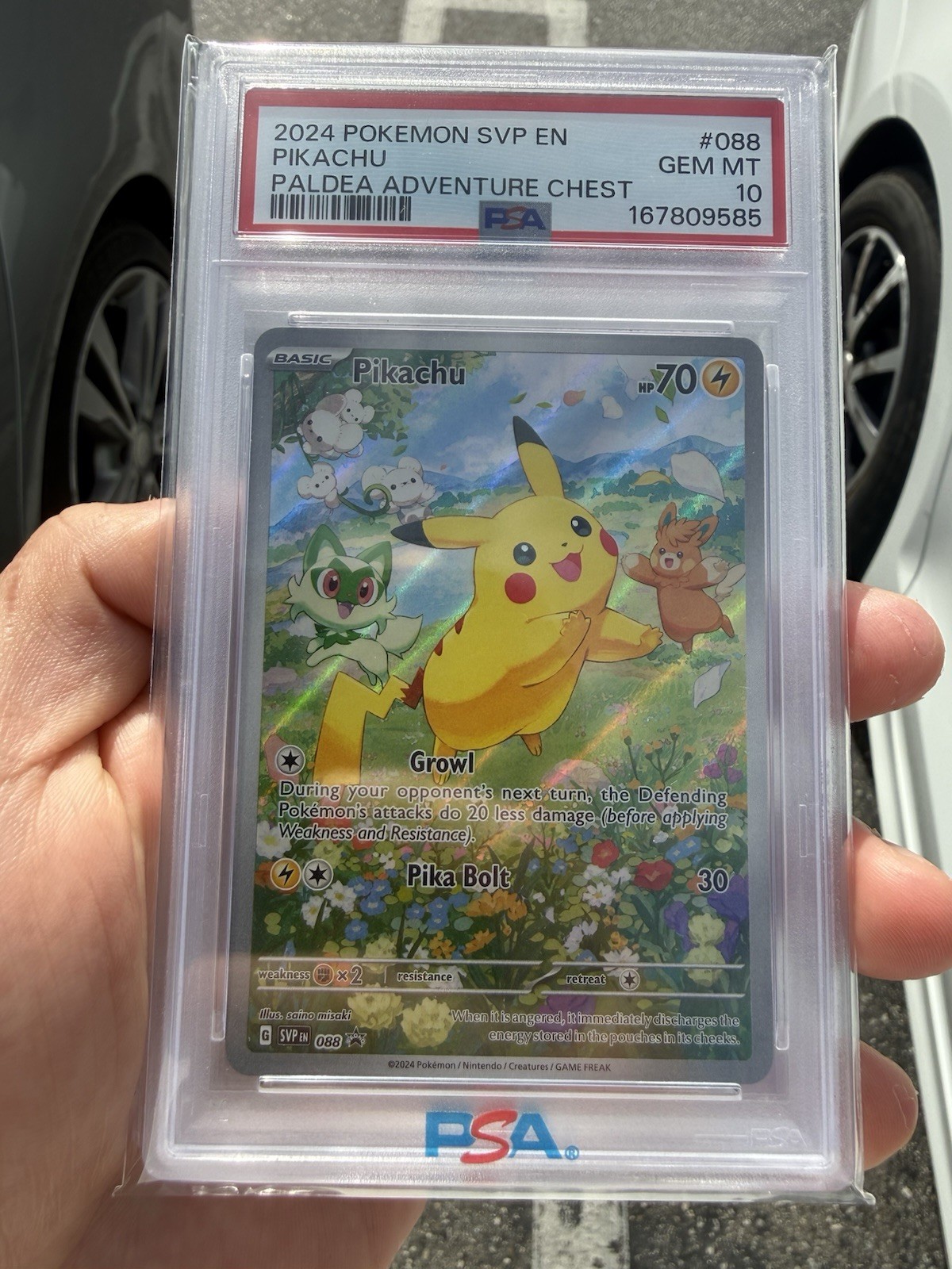 Pokémon TCG Pikachu 088 Promo Paldea Adventure Chest English 2024 PSA 10 Pokémon TCG Pikachu 088 Promo Paldea Adventure Chest English 2024 PSA 10