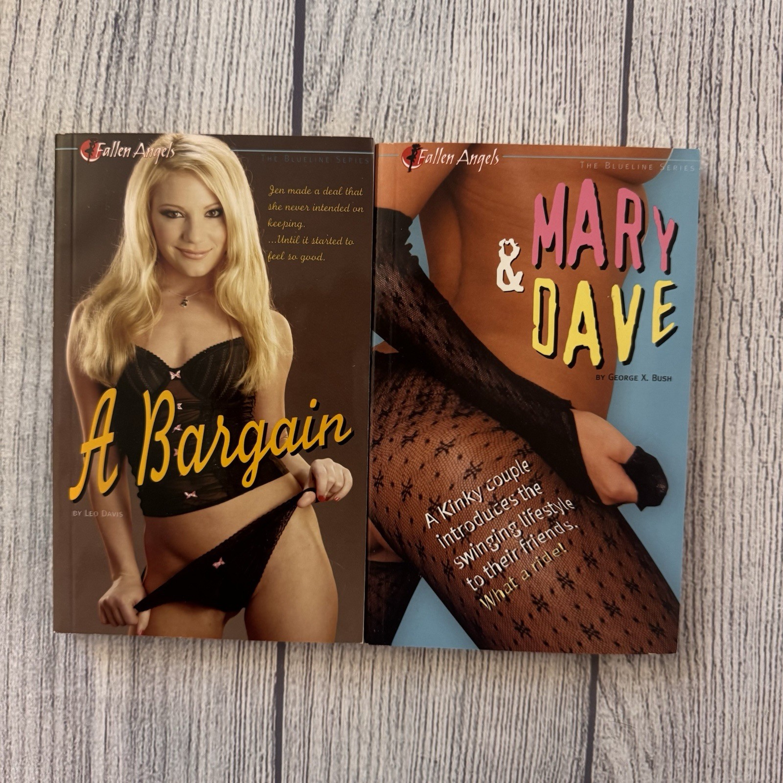 A Bargain & Mary & Dave Leo Davis George X. Bush Fallen Angels PB Book Lot Smut