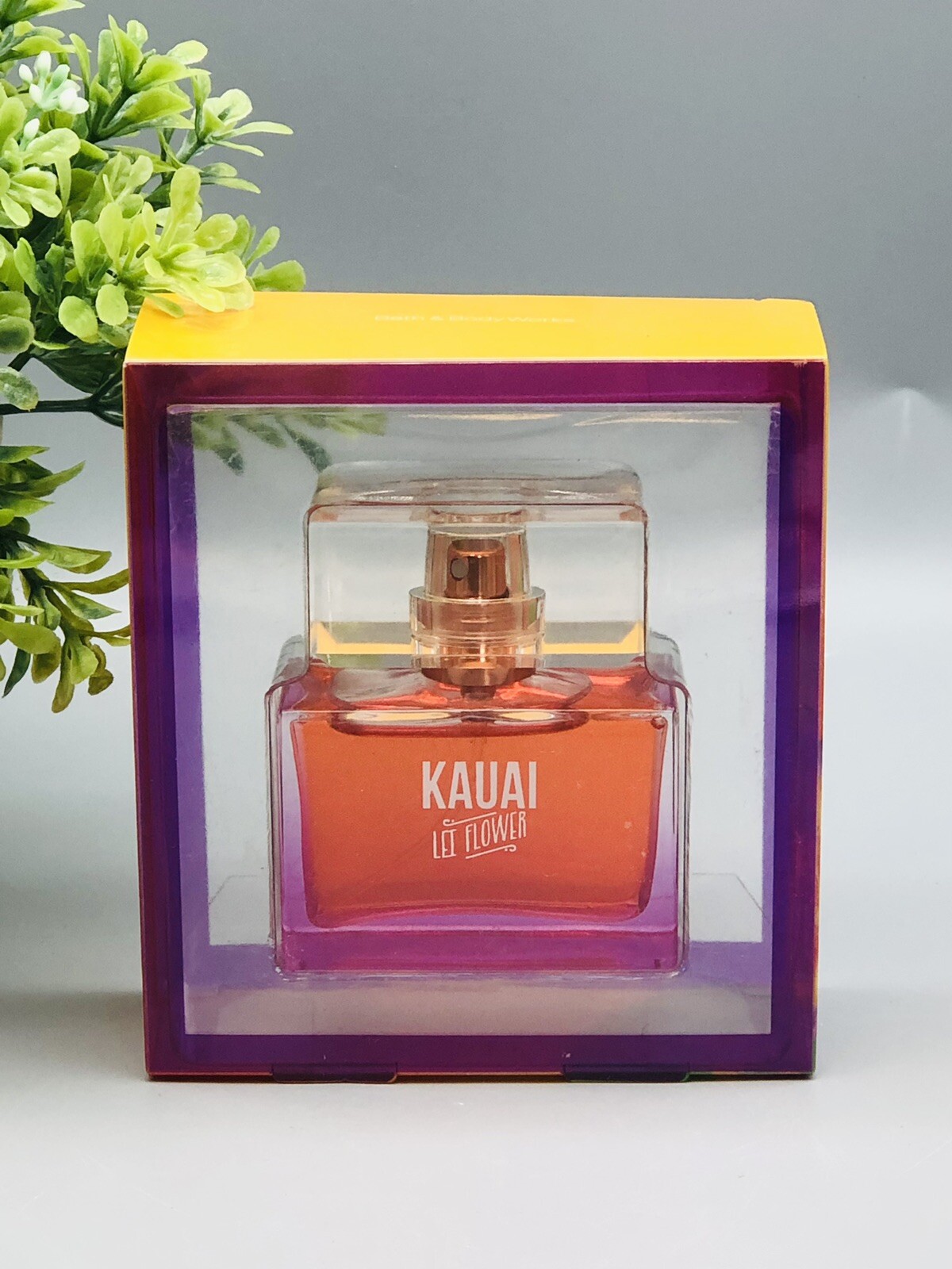 Bath & Body Works Kauai Lei Flower Eau De Toilette Spray 1.0 oz NIB RARE Bath & Body Works Kauai Lei Flower Eau De Toilette Spray 1.0 oz NIB RARE