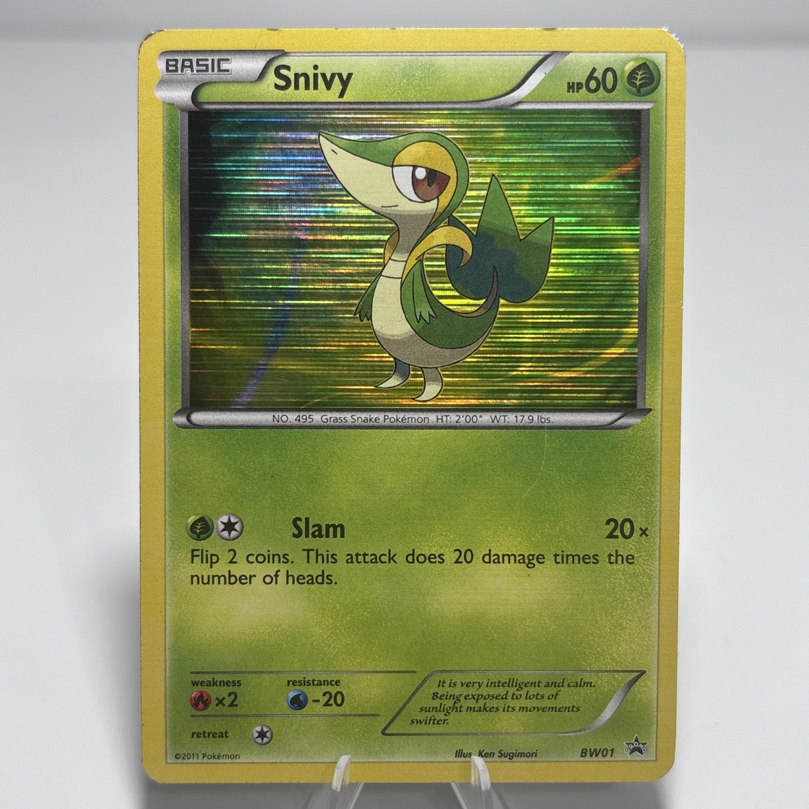 Snivy BW01 NM -Rare Vintage Holo Pokemon Card- Black Star Promo Snivy BW01 NM -Rare Vintage Holo Pokemon Card- Black Star Promo