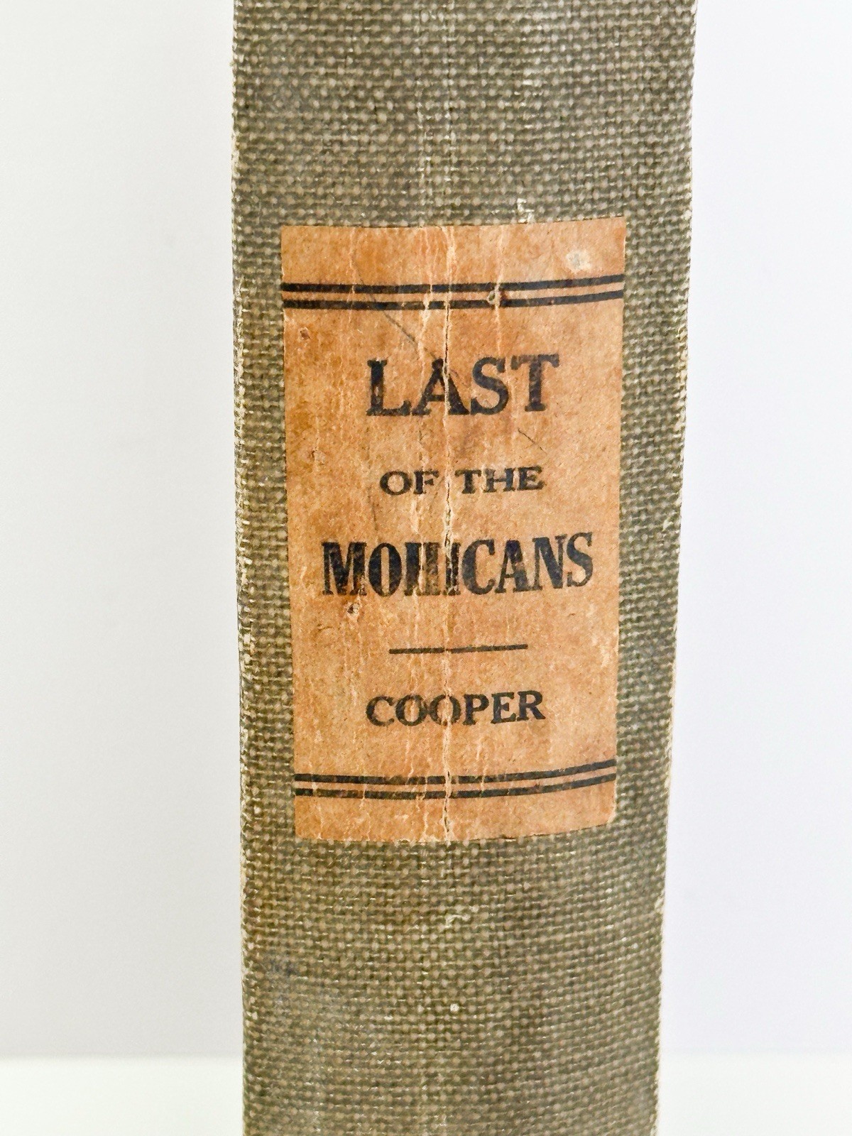 Metropolitan State Hospital Waltham Ma Library Book Last Of The Mohicans 1898