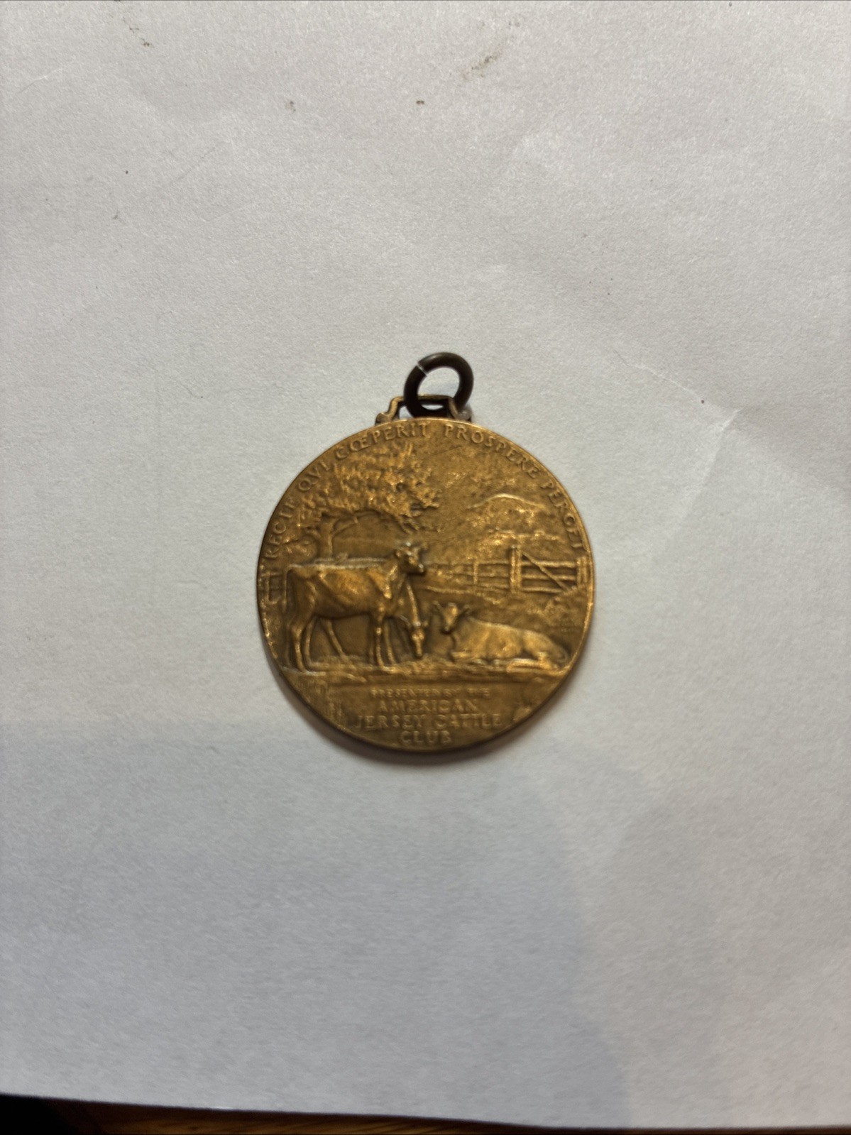 Rare Vtg American Jersey Cattle Club “Jersey Medal For Merit” Rare Vtg American Jersey Cattle Club “Jersey Medal For Merit”