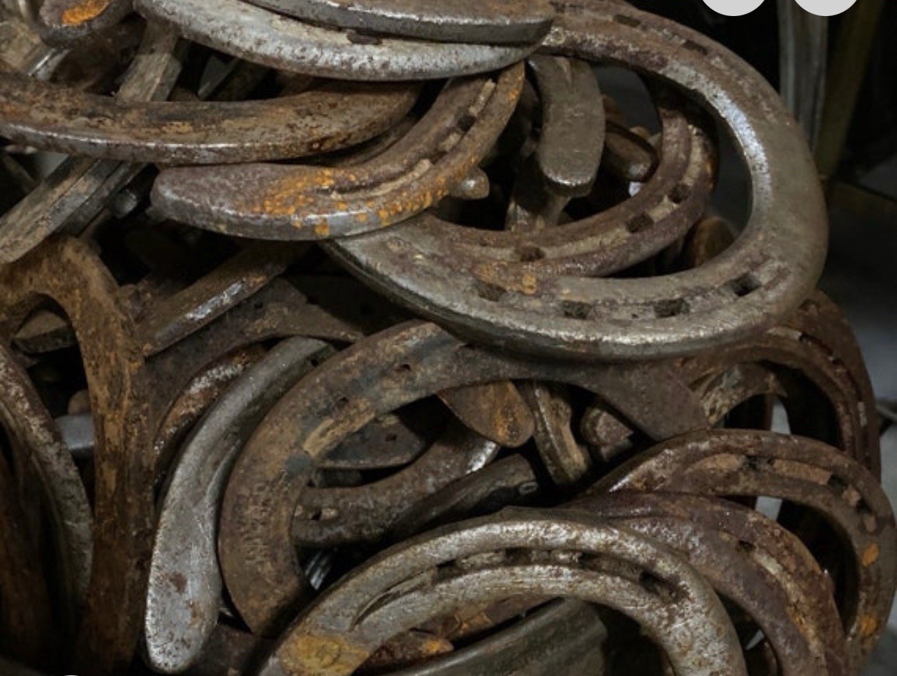 Used Steel Horseshoes Lot Of 40