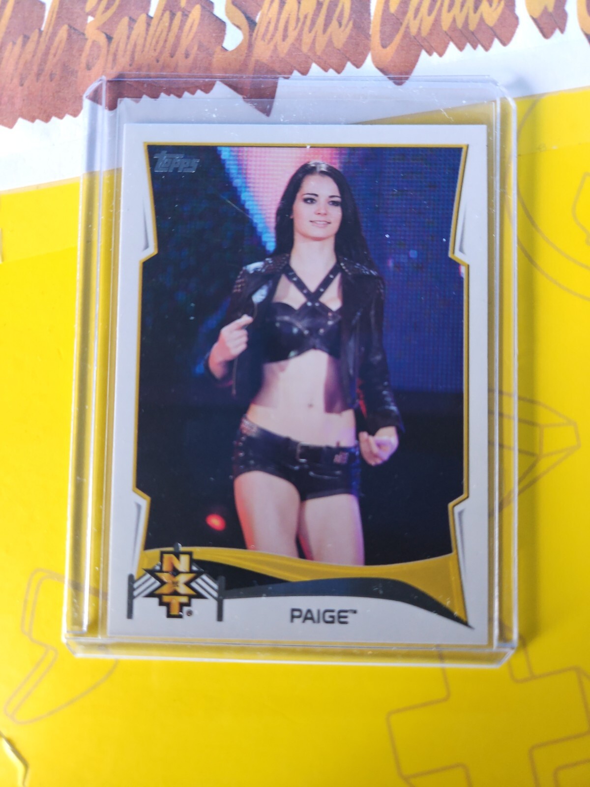 2014 Topps WWE NXT Rookie Prospects Paige #14 RC