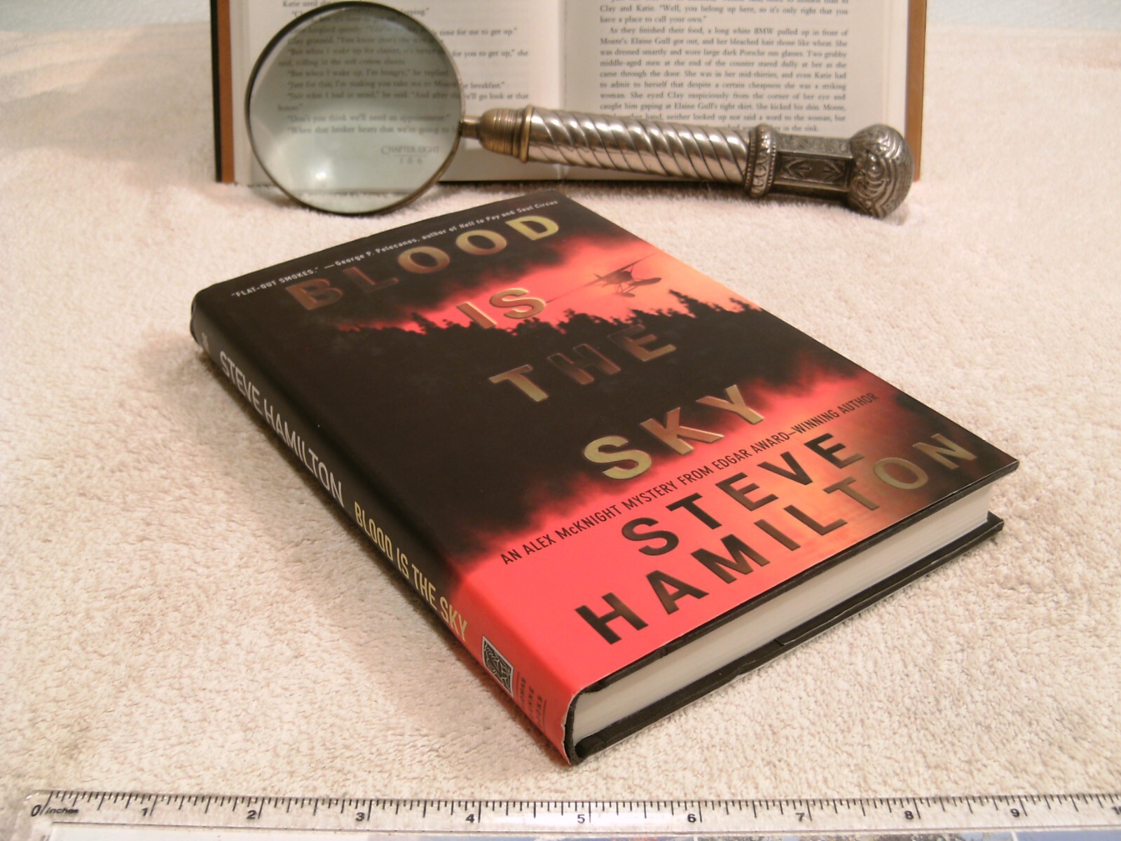 Steve Hamilton *BLOOD IS THE SKY* HC/DJ 1st Edition - 1st Printing