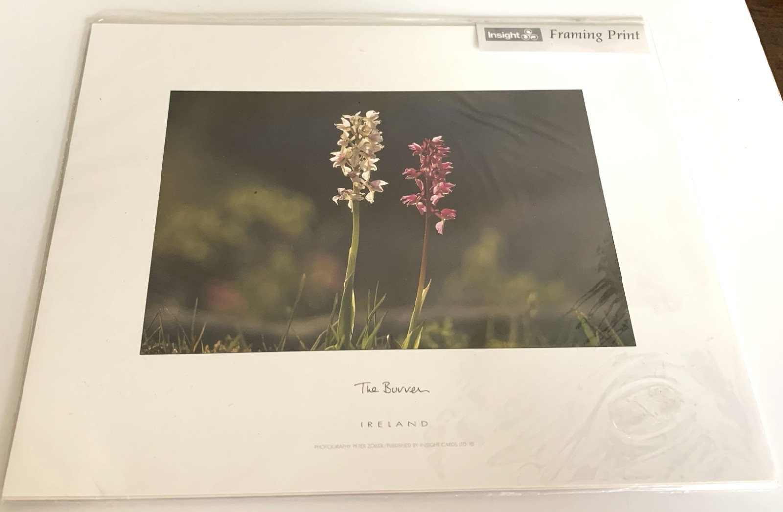 Photographer Peter Zoller THE BURREN IRELAND Framing PRINT NEW Irish Art Photographer Peter Zoller THE BURREN IRELAND Framing PRINT NEW Irish Art